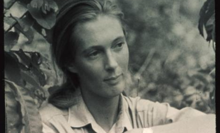 Jane Goodall