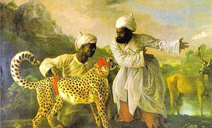 Cheetah in India