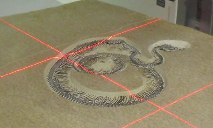 Clarisse snake