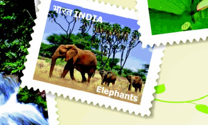 India elephant tourism