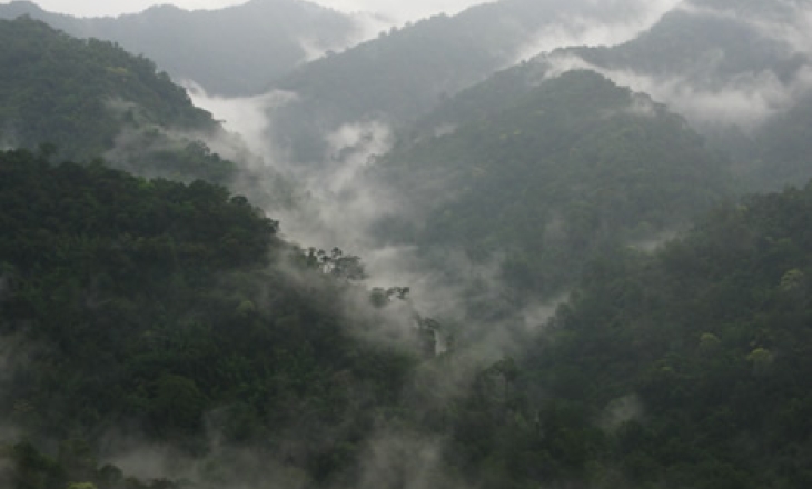 Mekong biodiversity hotspot