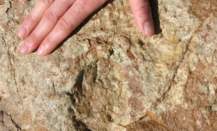 Late Jurassic Morrison Formation, Morrison, Colorado