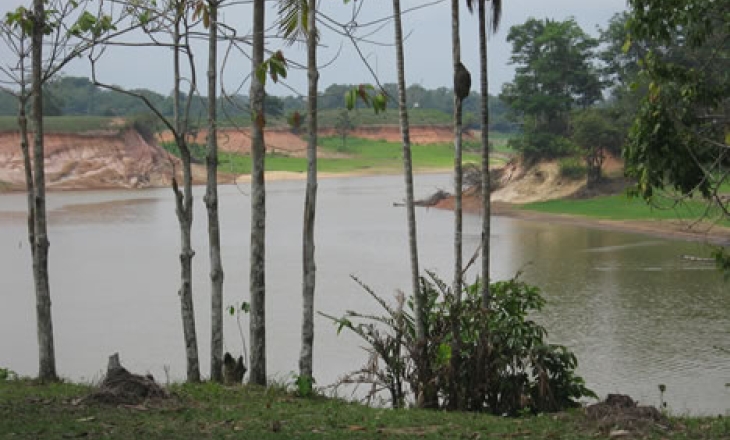 The Amazon