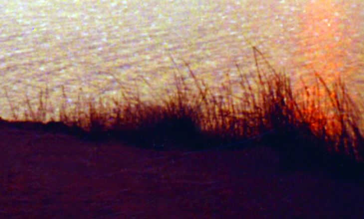 The Stealth of a Shimmer