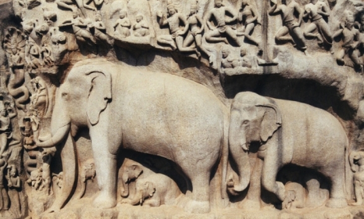 India's elephant