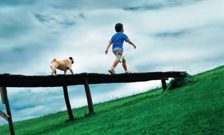 Vodafone ad pug boy