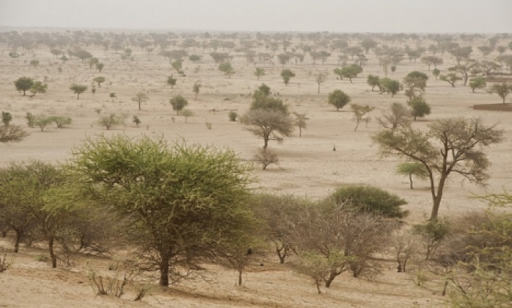 Increased desertification