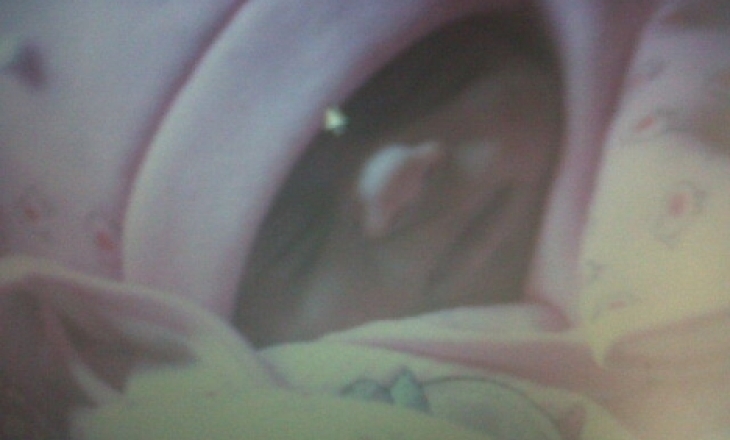 Baby Nargis