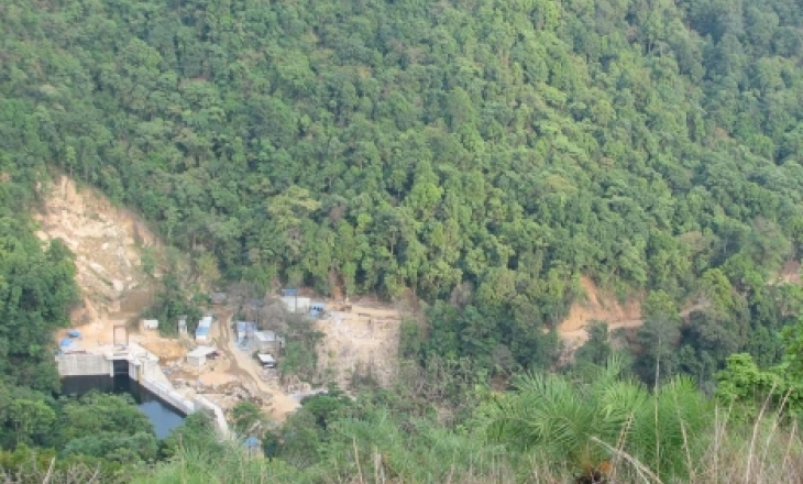 Forest Act violation