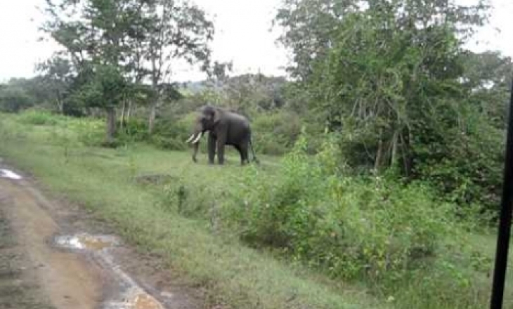Western Ghats tourism