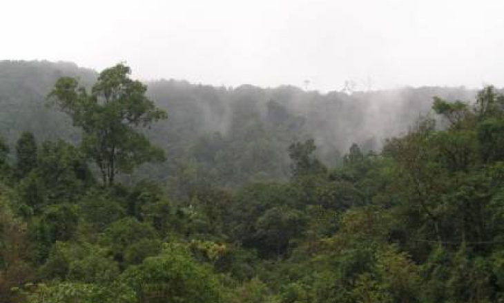 Western Ghats RTI