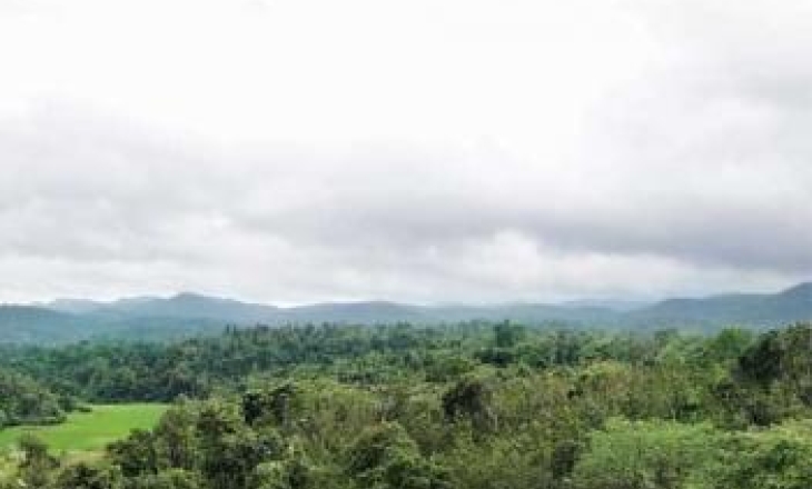 Yettinahole catchment area
