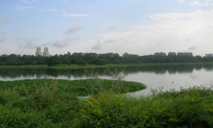 Karnataka water body