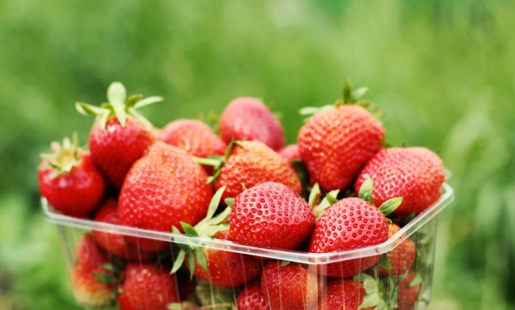 Organic food