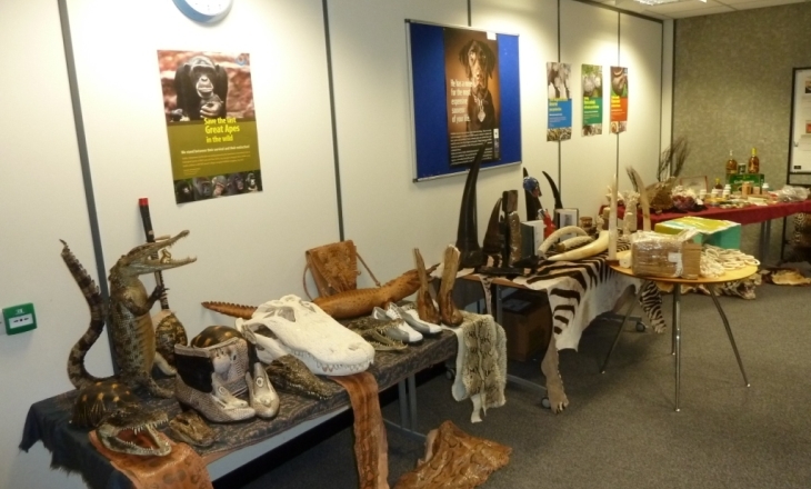 Wildlife crime