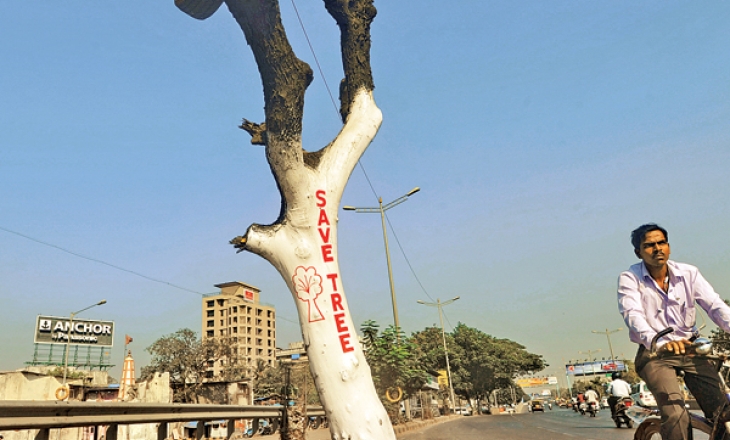 Environmental degradation