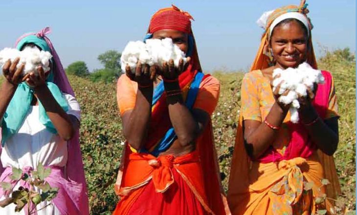 Sustainable Cotton Ranking