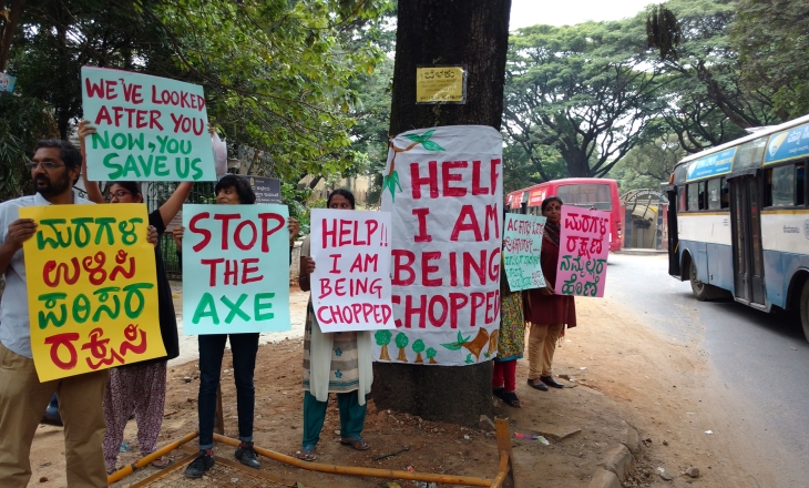 Bangalore tree laws