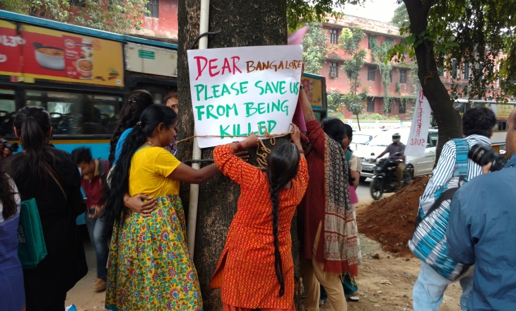 Bangalore tree scam