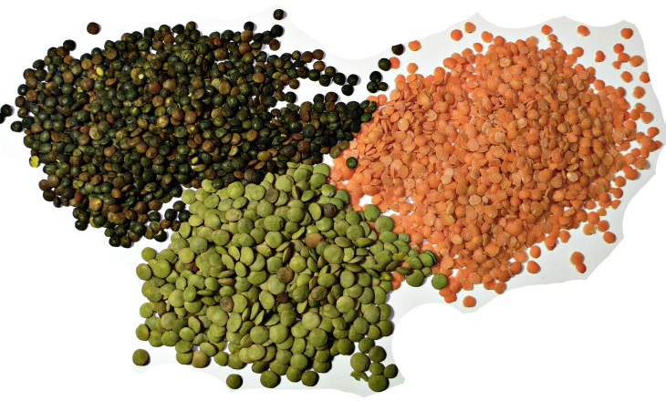 Daal Scam