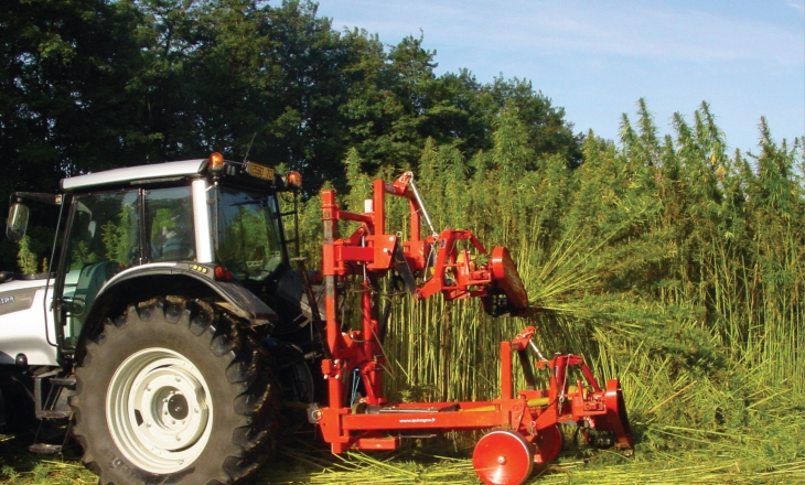 Hemp alternative