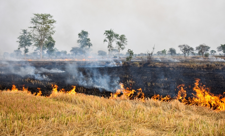 Stubble burning India