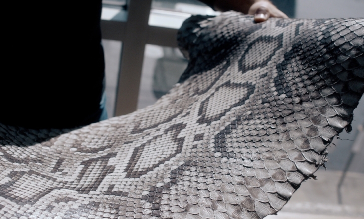 Burmese Python, American Leather 