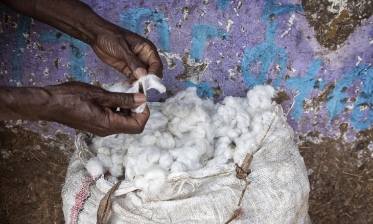 Cotton and labour
