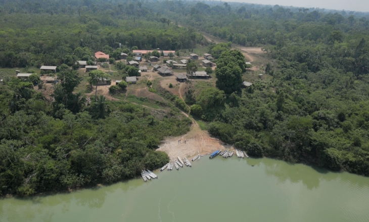 The Hidden Price of Luxury: Coach Handbags Linked to Amazon Deforestation