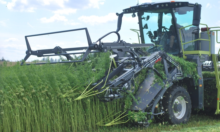 Europe’s Bioeconomy at a Crossroads as Valbiom Pushes for Scalable Hemp and Bio-Based Materials