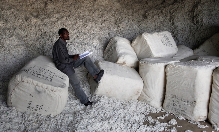 Cotton Supply Chain Faces Crisis as Farmers Get Marginalised and Certification Loses Impact