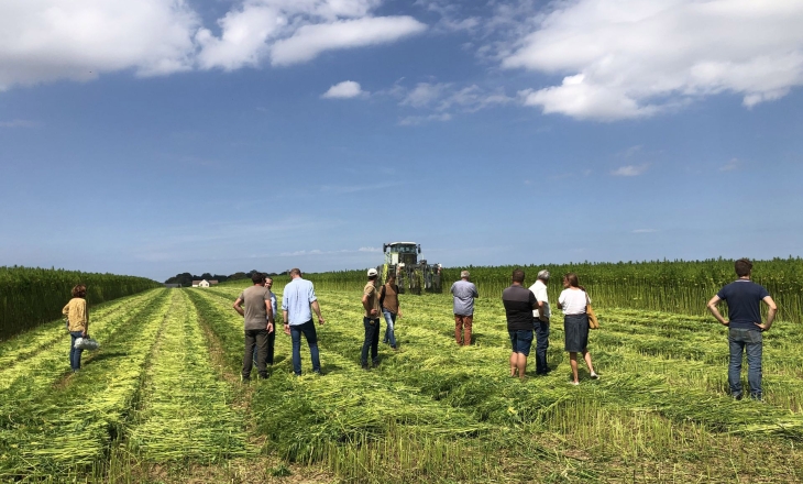 Processing Power, Not Acreage, Will Decide Hemp’s Future in Europe