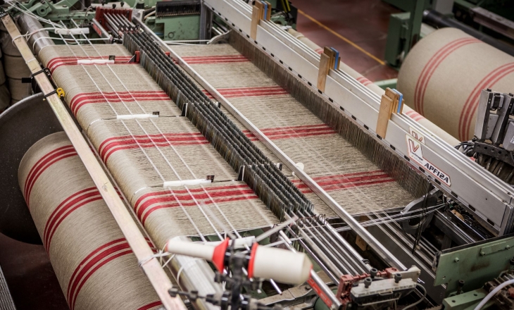 From Boutique Fibre to Industry Standard: Hemp Faces Its Market Test