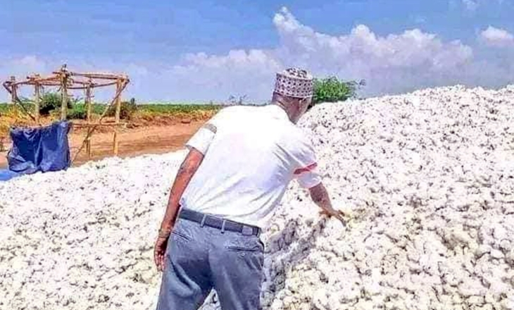 How Ethiopia Aims to Transform Its Cotton Heritage into Global Competitiveness