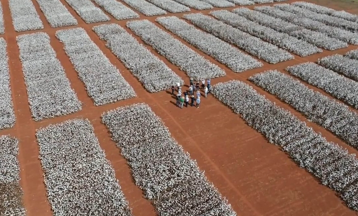 Brazil Cotton: Traceability Promises Are Running Ahead of What Most Farmers Can Actually Deliver