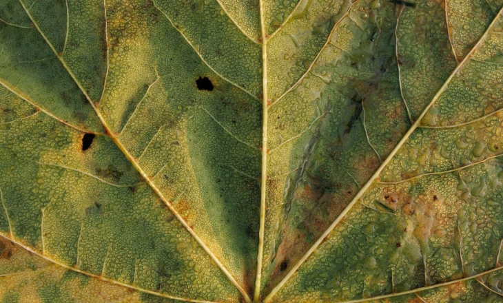 Circularity Without Decay Is Fashion Pretending Nature Doesn't Matter